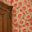 Load image into Gallery viewer, Clara Rose Victorian Shabby Chic Pink Roses Peel and Stick and Traditional Wallpaper