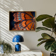 Load image into Gallery viewer, Detailed Butterfly Photograph Wall Art Print