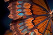 Load image into Gallery viewer, Detailed Butterfly Photograph Wall Art Print