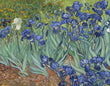 Load image into Gallery viewer, Irises, by Vincent Van Gogh, circa 1889