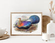 Load image into Gallery viewer, Chinese Monal Pheasant, by John Gould, circa 1969
