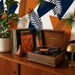 Load image into Gallery viewer, Willan Road Tropical Vintage Peel and Stick and Traditional Wallpaper