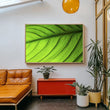 Load image into Gallery viewer, Abstract Macro Green Leaf Wall Art Print