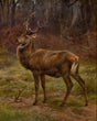 Load image into Gallery viewer, Stag in an Autumn Landscape, by Rosa Bonheur, circa 1800's