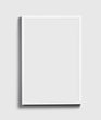 Load image into Gallery viewer, White Wood Modern Wall Frame