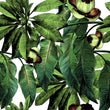 Load image into Gallery viewer, Retro palm tropical green fabric peel and stick wallpaper