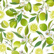 Load image into Gallery viewer, Green citrus limes vintage floral fabric peel and stick wallpaper sample