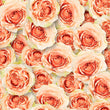 Load image into Gallery viewer, Pink Roses Wallpaper, Floral Wallpaper, Flower Wallpaper, Romantic Wallpaper, Girl Room Wallpaper, Peel & Stick Wallpaper, Fabric Wallpaper