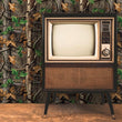 Load image into Gallery viewer, Forest Wallpaper, Woods Wallpaper, Trees Wallpaper, Lodge Wallpaper, Woodland Wallpaper, Country Removable Peel & Stick Wallpaper
