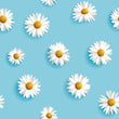 Load image into Gallery viewer, Blue Daisy Fabric, Floral Textiles, White Flower Upholstery Material by the Yard, Spring Cottagecore Botanical Fabric for Home Décor