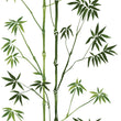Load image into Gallery viewer, Modern Bamboo Wallpaper – Green Botanical Wallcovering, Asian Inspired Minimalist Tropical Decor