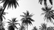 Load image into Gallery viewer, Black and White Palm Trees Samsung Frame TV Digital Art