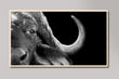 Load image into Gallery viewer, Water Buffalo Black and White Samsung Frame TV Art