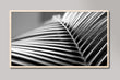 Load image into Gallery viewer, Black and Whit Palm Leaf Samsung Frame TV Digital Art
