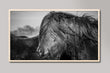 Load image into Gallery viewer, Black and White Shetland Pony Photograph Samsung Frame TV Digital Art