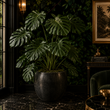 Load image into Gallery viewer, Ivy Lane Dark Moody Botanical Peel and Stick and Traditional Wallpaper
