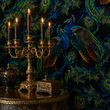 Load image into Gallery viewer, Alyth Gardens Moody Victorian Peacock Peel and Stick and Traditional Wallpaper
