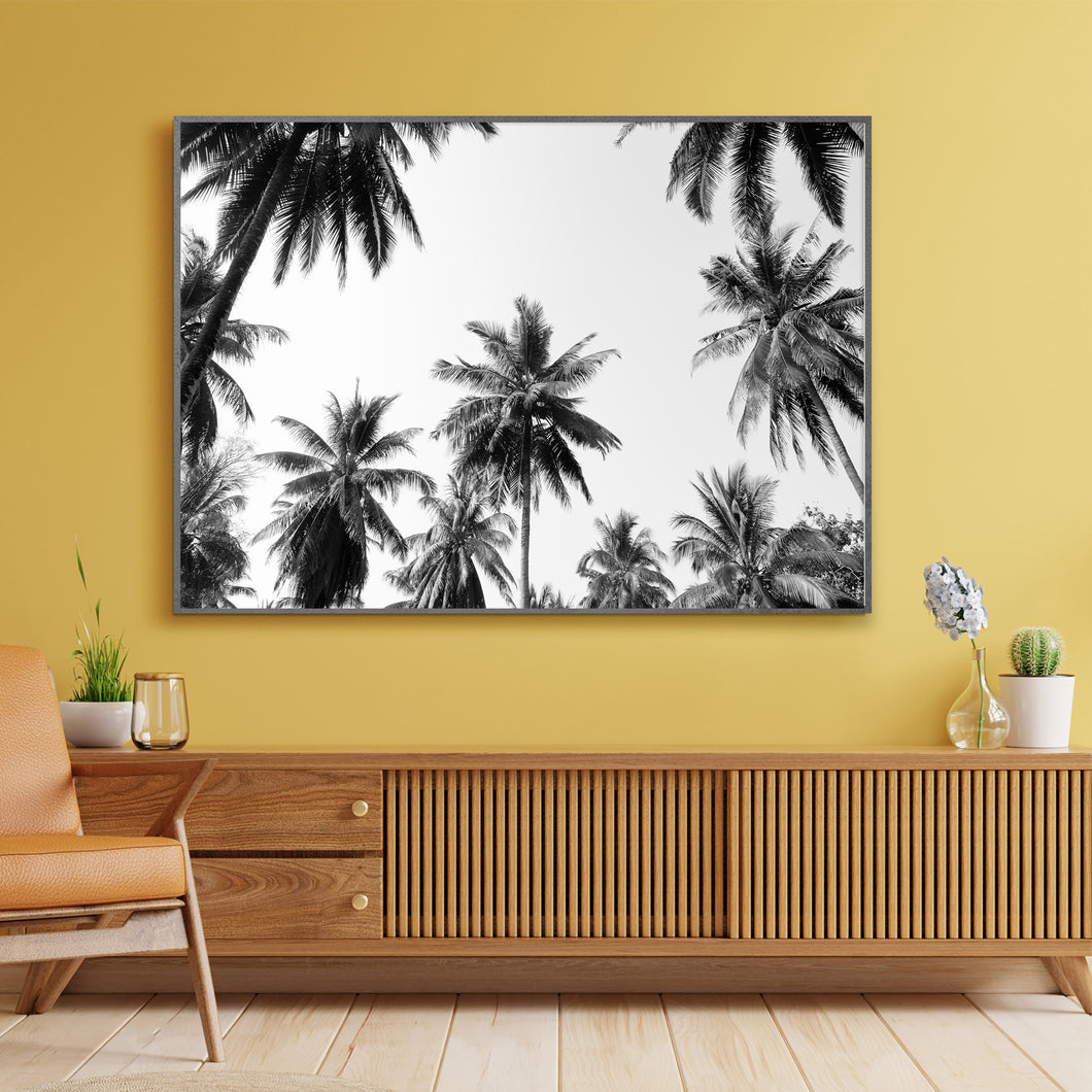 Tropical Palm Trees Photograph Wall Art Print