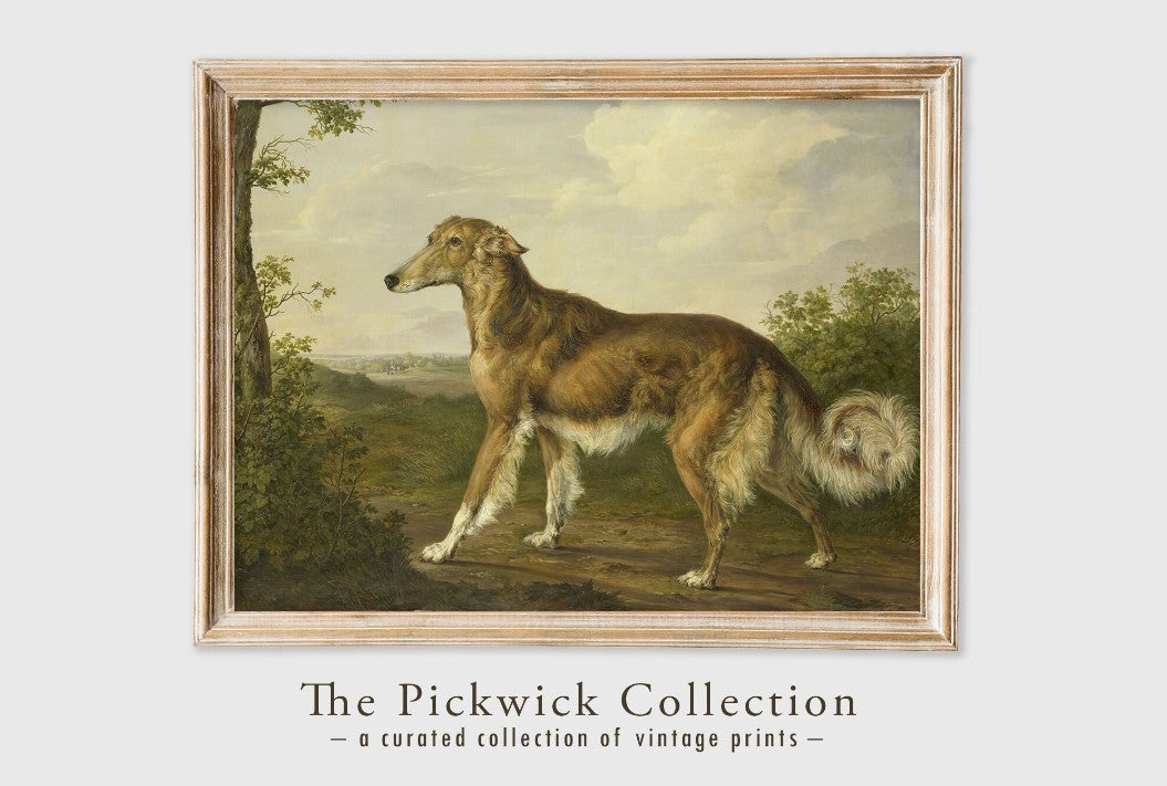 Siberian Greyhound, by Jan Dasveldt, circa 1770-1855