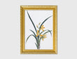 Load image into Gallery viewer, Color Ink Drawing Depicting Orchid With Yellow Flowers And Long Green Fronds

