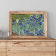 Load image into Gallery viewer, Irises, by Vincent Van Gogh, circa 1889
