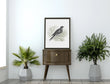 Load image into Gallery viewer, Pigeon Vintage Engraved Illustration Print
