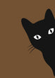 Load image into Gallery viewer, Black Cat Peeking Around Corner Wall Art Print
