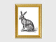 Load image into Gallery viewer, Rabbit Vintage Engraved Illustration Print
