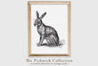 Load image into Gallery viewer, Rabbit Vintage Engraved Illustration Print
