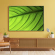 Load image into Gallery viewer, Abstract Macro Green Leaf Wall Art Print
