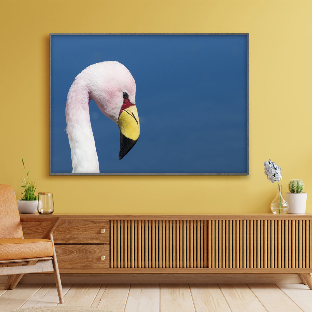 Pink Flamingo Photograph Wall Art Print