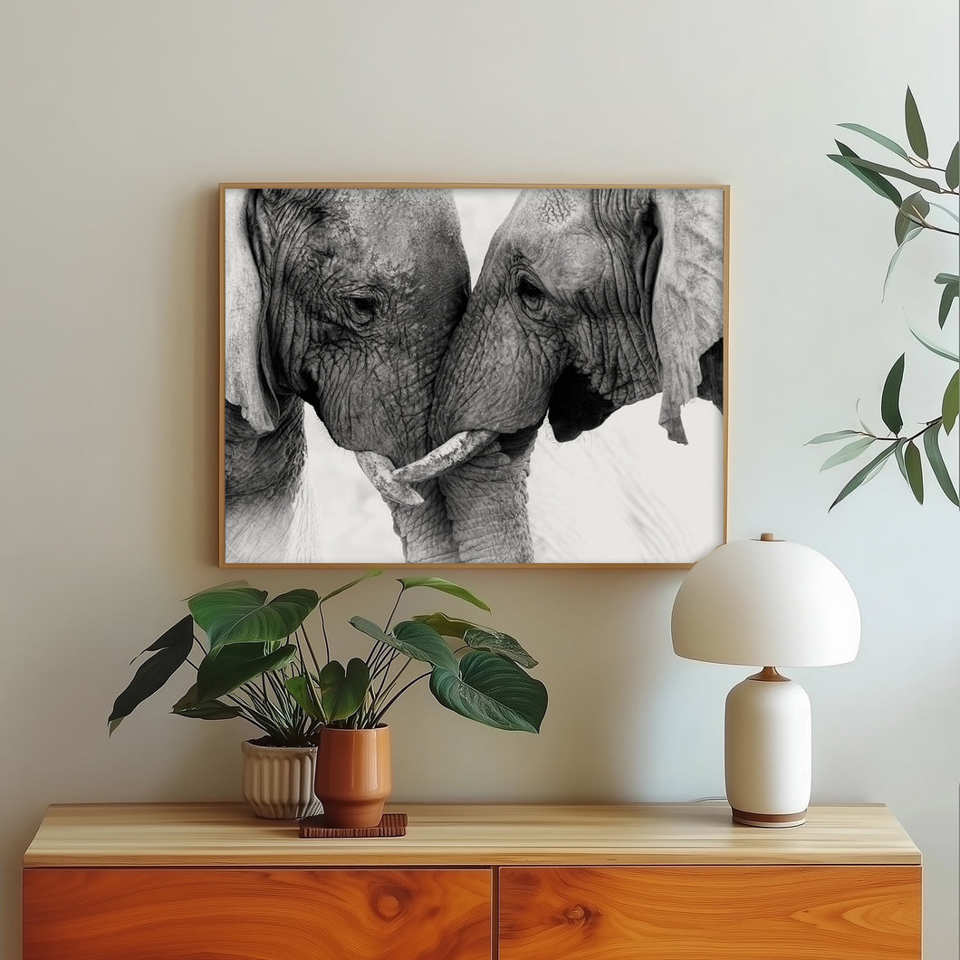 Majestic Elephants Embracing Photograph Wall Art Print