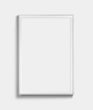 Load image into Gallery viewer, White Wood Vintage Wall Frame
