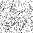 Load image into Gallery viewer, Botanical bare branches black and white peel and stick wallpaper

