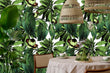 Load image into Gallery viewer, Retro palm tropical green fabric peel and stick wallpaper

