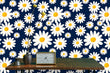 Load image into Gallery viewer, Blue and yellow floral daisy fabric peel and stick wallpaper
