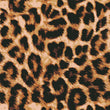 Load image into Gallery viewer, Leopard Print Material, Cheetah Fabric, Animal Print Design, Animal Pattern, Jungle Cloth, Country Textiles, Fabric By the Yard
