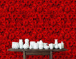 Load image into Gallery viewer, Bed of Red Roses Wallpaper, Gothic Wallpaper, Floral Wallpaper, Moody Wallpaper, Romantic Wallpaper, Peel &amp; Stick Wallpaper
