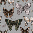 Load image into Gallery viewer, Butterfly Wallpaper – Vintage Entomology Wallcovering, Moody Botanical Decor, Nature Inspired Accent Wall, Victorian Inspired
