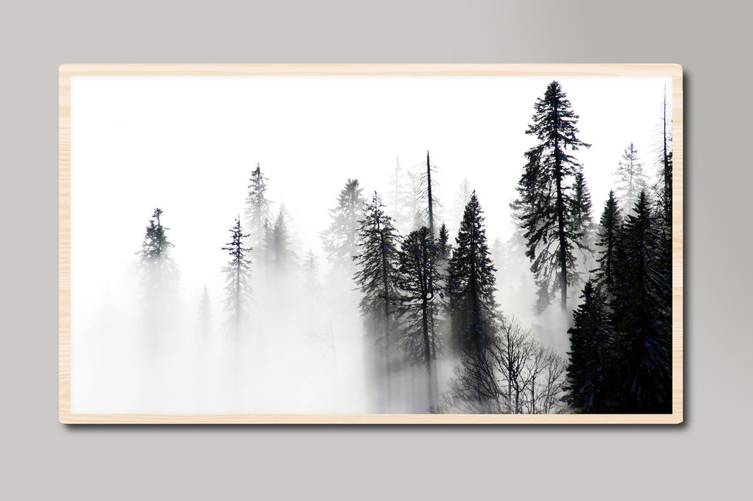 Black and White Misty Forest Landscape Samsung Frame TV Digital Art