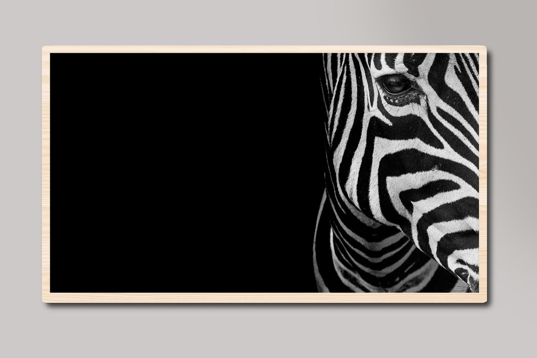 Black and White Zebra Samsung Frame TV Digital Art
