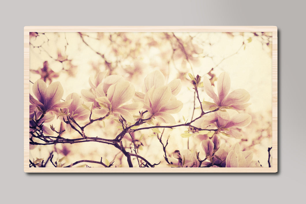 Beautiful Blooms on Trees Samsung Frame TV Digital Art
