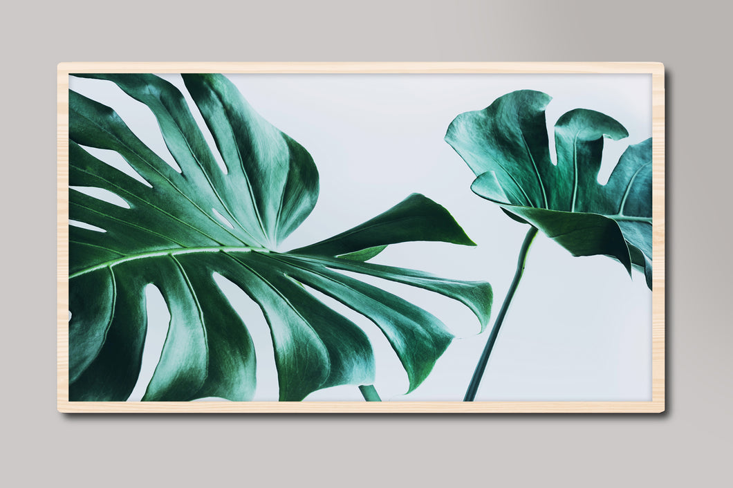 Palm Leaves Photography Samsung Frame TV Digital Art