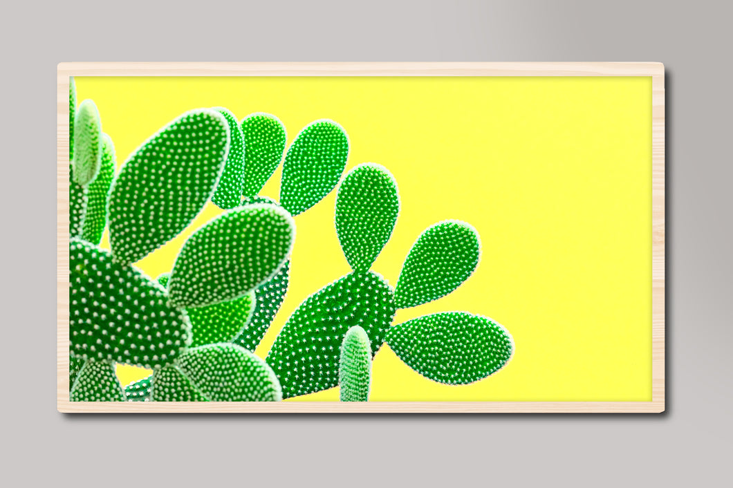 Green Cactus on Yellow Background Samsung Frame TV Digital ARt
