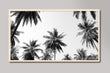 Load image into Gallery viewer, Black and White Palm Trees Samsung Frame TV Digital Art
