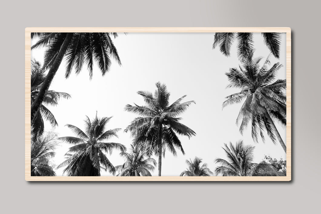 Black and White Palm Trees Samsung Frame TV Digital Art